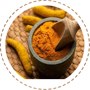 Turmeric Extract